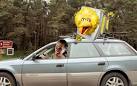 Image result for big bird and car