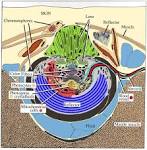 Cephalopod Photophore Terminology