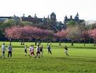 On a spring evening rugby - via Daymix