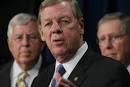 The Senate stimulus bill