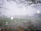 Snowstorm, Mountain Park - via Daymix