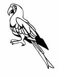 Bird coloring page