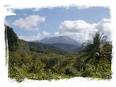 Morne Trois Pitons National Park is Dominica's World Heritage site