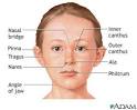 of the human face are very