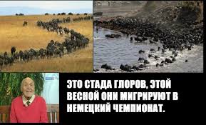 images?q=tbn:ANd9GcTIa1YlTO_pBrFHMI4QurVhwHKm4mYm2bOvBPlPG8jkPgCZWn1t