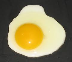 http://t3.gstatic.com/images?q=tbn:ANd9GcTIfz_5eeyGpviu-mqeR5ZhariXe_akWk5-bZst6PeqnlwtCW_v