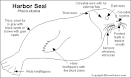 Harbor Seal Printout- EnchantedLearning.