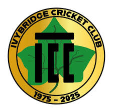 Image result for Ivybridge Cricket Club