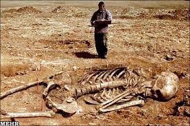 Bildergebnis für ‫سگ واقی وکربه واقی‬‎