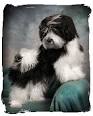 Video clip from my first show! - via Daymix