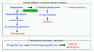 Congenital Adrenal Hyperplasia