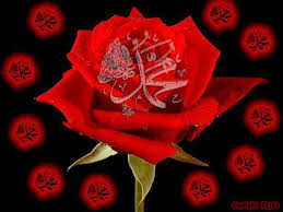 images
