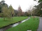 Bournemouth: Anne Frank's tree - via Daymix