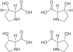 File:3-<b>Hydroxyproline</b> all four