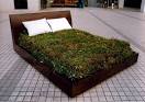 myeongbeom kim's forest bed | The Improvised Life