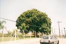 Sorocaba Pictures - Traveler Photos of Sorocaba, SP - Trip Advisor