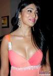 Shreya Hot Gallery