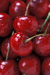 Bing cherry - Wikipedia, the free encyclopedia