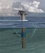 Wave and Tidal Energy Technology | Renewable Northwest