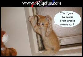 images?q=tbn:ANd9GcTKNbaAVvFWmI2gHU8UZP4Wy0jif7BNKSN0wfnuzlU9sGSdGWAJ