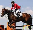 Equestrian Sports are Men's Sports, Too. | Communication Theory 200