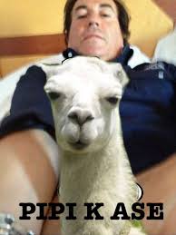 Os traigo un chop DEMIGRANTE