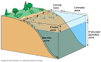 Pupae's Marine Blog: 4. two primary ocean zones