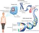 CISN - The OMICS Revolution and Beyond - Personalized Medicine - pg 2