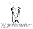 Fruit Flies | University of Kentucky Entomology