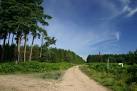 Redneck Heath, Thetford Forest. The red flag indicates active firing on the - via Daymix