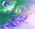 Genetic markers for aggressive head and neck cancer from ...