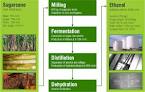 Biofuels Platform - Bioethanol
