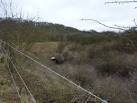 to the Silver Seal Mine - via Daymix