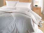 White Goose Down Pillows | Down Comforters | Down Bedding ...