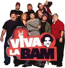 vb