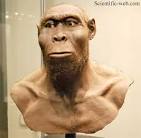 Homo rudolfensis, Photo: