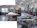 Forensic Pathology