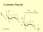 Cationic Starch