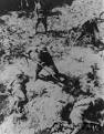 The California Cure for Japanese War Crimes