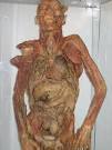 Diet Cola, Good for the waistline, Bad for health? | Random Detox