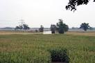 Every year one of the fields - via Daymix