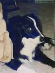CODIPUP