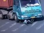 Cyclist-survives.jpg