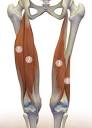 Healing the Hamstrings
