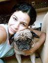 yoda the pug
