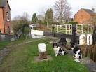The house on the left of the image is much older, but the modern house uses - via Daymix
