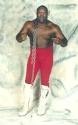The Junkyard Dog