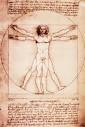 Renaissance Man: How to be a Real Polymath | The Art of Manliness