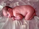 Desktop Wallpapers    Babies Backgrounds    Almost New Born Baby    www