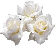 http://t3.gstatic.com/images?q=tbn:ANd9GcTOEuooTsmxL7e6ky0LKw0x2lzPI7rpdbghplPkMs4q_OmTV2_9Qw